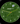 Forest Edge - Watch Face