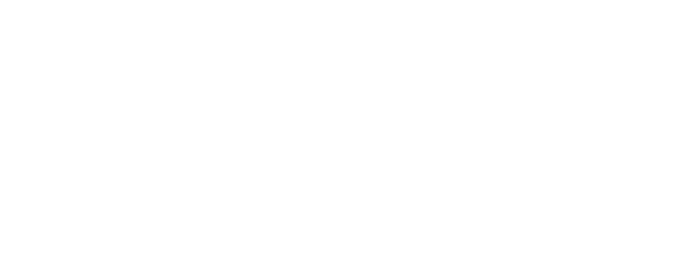schok classic logo white