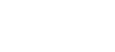 Net10 logo